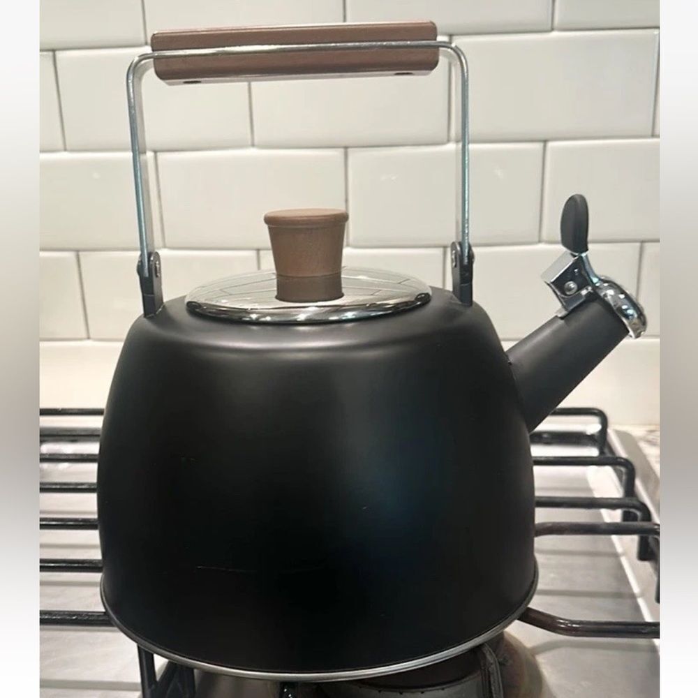 Well Equipped Kitchen Black Matte Stainless Steel Tea Kettle